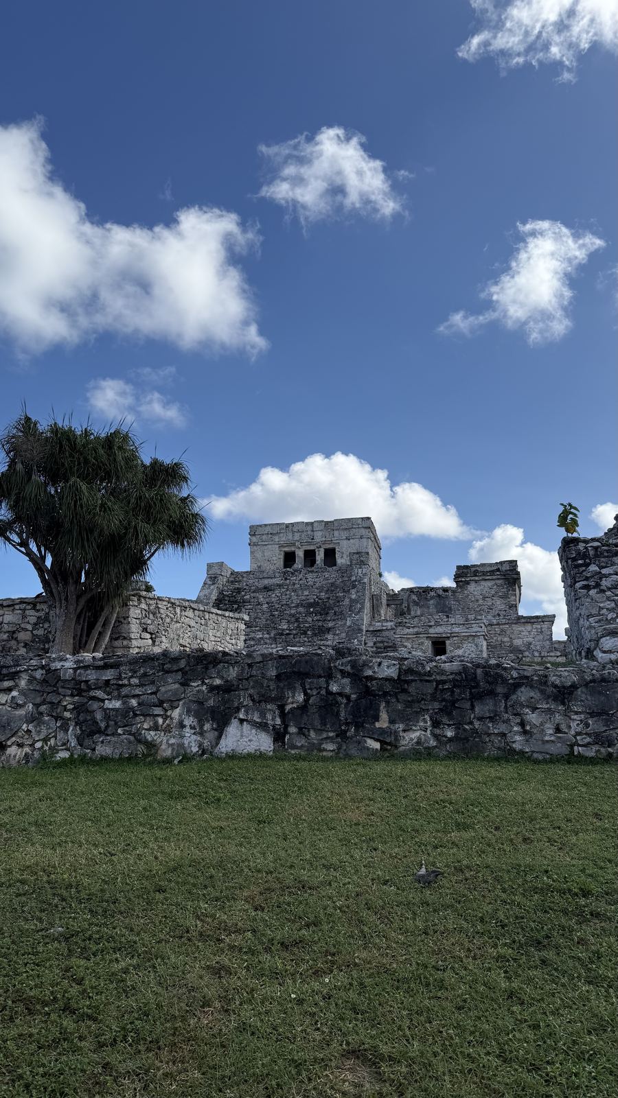 The Tulum ruins overlooking the Caribbean Sea